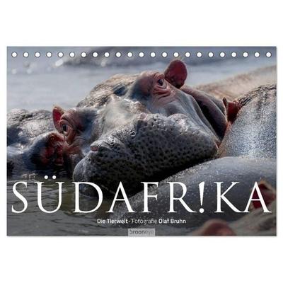 Südafrika - Die Tierwelt (Tischkalender 2027 DIN A5 quer), CALVENDO Monatskalender