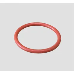 Truma O-Ring