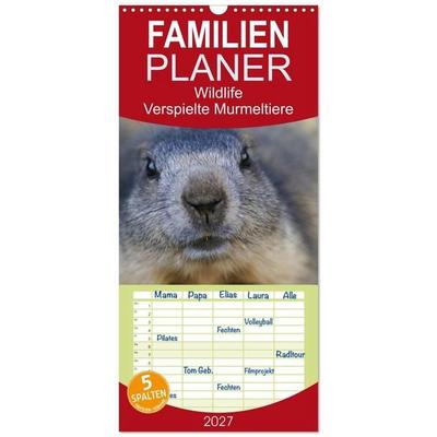Familienplaner 2027 - Wildlife - Verspielte Murmeltiere mit 5 Spalten (Wandkalender, 21 x 45 cm) CALVENDO