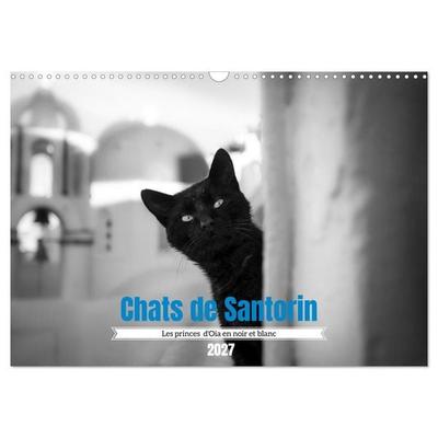 Chats de Santorin - Les princes d'Oia en noir et blanc (Calendrier mural 2027 DIN A3 vertical), CALVENDO calendrier mensuel