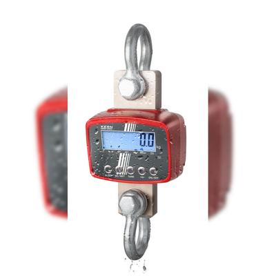 Kranwaage Kern HFD 600K-1IP hochauflösende Kranwaage bis 600kg - 200g genau