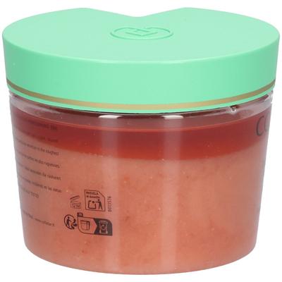 Collistar Elasticizing Firming Talasso-Scrub 600gr 600 g Creme