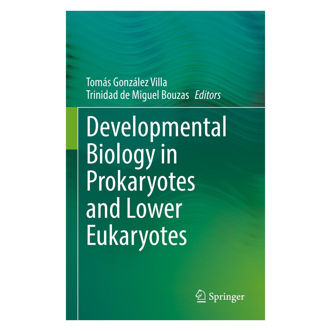 Springer Developmental Biology in Prokaryotes and Lower Eukaryotes (Englisch, Hardcover, Tomás González Villa, Trinidad de Miguel Bouzas) (9783030775940)