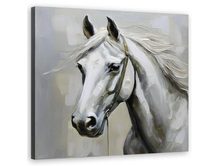 Feeby Wandbild weißes pferd tiere, Weiß, Tiere, Rechteckig, 50x50 cm, Bilder & Rahmen, Bilder, Leinwandbilder