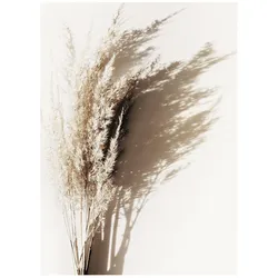Bild SUNNY GRASS BOUQUET (BH 30x40 cm) - grün - BH 30x40 cm