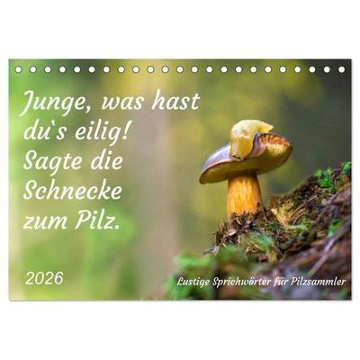 Junge, was hast du`s eilig (Tischkalender 2026 DIN A5 quer), CALVENDO Monatskalender