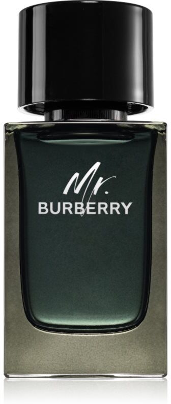 Burberry Mr. Burberry Eau de Parfum für Herren 100 ml