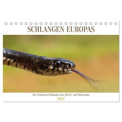 Schlangen Europas (Tischkalender 2027 DIN A5 quer), CALVENDO Monatskalender