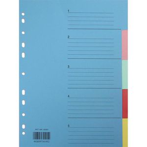 Quantus Karton Register, A4, blanko, 5-teilig, vollfarbig