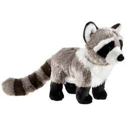 MISANIMO Waschbär