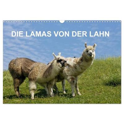 DIE LAMAS VON DER LAHN (Wandkalender 2027 DIN A3 quer), CALVENDO Monatskalender