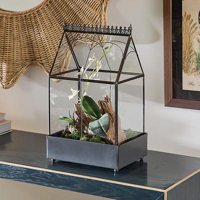 Classic Glass Terrarium - Ballard Designs