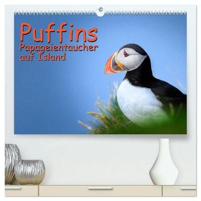 Puffins - Papageientaucher auf Island (hochwertiger Premium Wandkalender 2026 DIN A2 quer), Kunstdruck in Hochglanz