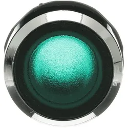ABB Stotz S&J Leuchtdrucktaster-Vorsatz MP1-31G