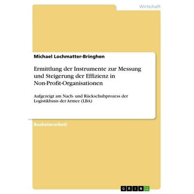 Ermittlung der Instrumente zur Messung und Steigerung der Effizienz in Non-Profit-Organisationen, Taschenbuch von Michael Lochmatter-Bringhen, GRIN,