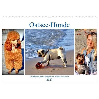 Ostsee-Hunde - Zweibeiner und Vierbeiner am Strand von Cranz (Wandkalender 2027 DIN A2 quer), CALVENDO Monatskalender