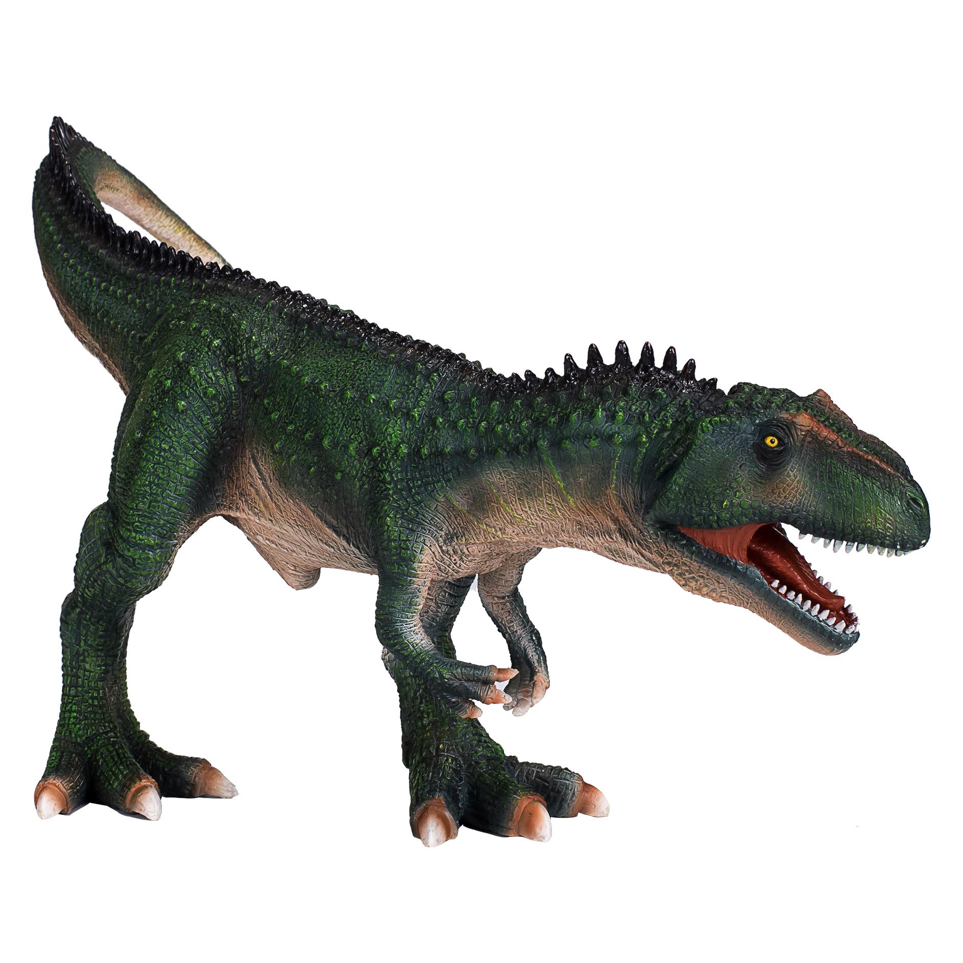 small foot Giganotosaurus (MJ-381013)