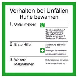 SafetyMarking 43.0048 Hinweisschild Verhalten bei Unfällen Kunststoff (B x H) 200 mm x 200 mm 1 St.