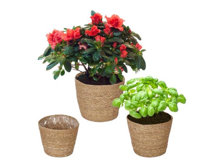 Relaxdays Seegras Blumentopf 3er Set