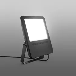 RZB LED-Fluter 722126.003