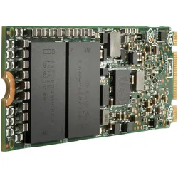 P41538-001 neu