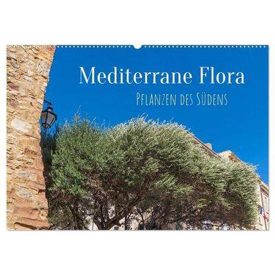 Mediterrane Flora - Pflanzen des Südens (Wandkalender 2027 DIN A2 quer), CALVENDO Monatskalender