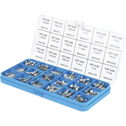 SCH 349857 - Feinsicherungs-Sortiment, 5 x 20 mm, träge, 270er-Pack