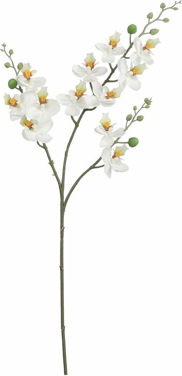 Mica Decorations Kunstbloemen Orchidee tak - Wit - 75 cm