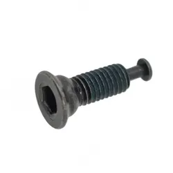 SHIMANO Befestigungsschraube für Flat Mount Bremssattel | Typ B