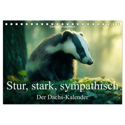 Stur, stark, sympathisch - Der Dachs - Kalender (Tischkalender 2026 DIN A5 quer), CALVENDO Monatskalender