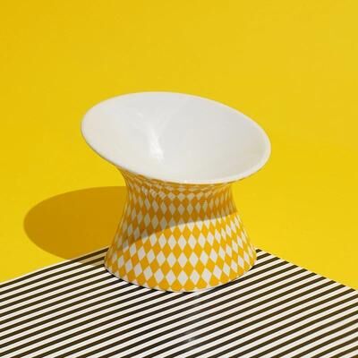 Inspire Essentials Elevated Ceramic Pet Bowl d