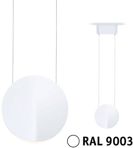 Paulmann Alejandro Hochvolt-Schienensystem-Leuchte URail 10W Signal-Weiß