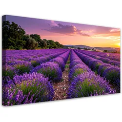 LEINWANDBILD Landschaften 80x40cm