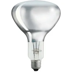 Philips IR250CH BR125 230-250V E2 Landwirtschaft + Lebensmittel PH57523425
