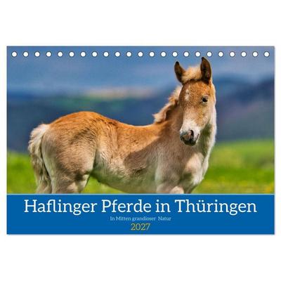 Haflinger Pferde in Thüringen (Tischkalender 2027 DIN A5 quer), CALVENDO Monatskalender