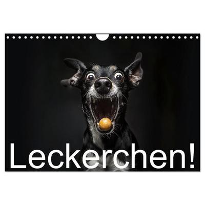 Leckerchen! (Wandkalender 2027 DIN A4 quer), CALVENDO Monatskalender