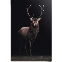 Poster REINDERS "Poster Hirsch", braun (farbe bild(er): braun), B:61cm H:91,5cm, Papier, Bilder, Poster