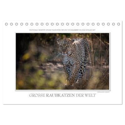 Emotionale Momente: Große Raubkatzen der Welt. (Tischkalender 2026 DIN A5 quer), CALVENDO Monatskalender
