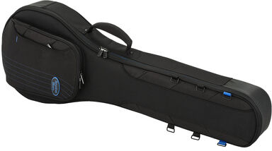 Reunion Blues Expedition Banjo Case