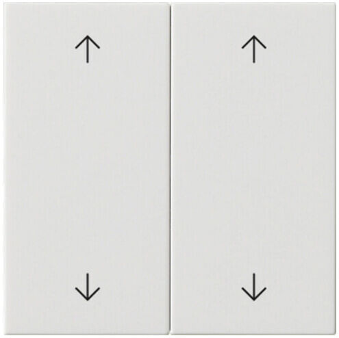Gira Plaque double blanc pur 538703 (538703)
