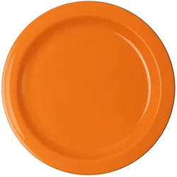 Teller flach Ø 24,1 cm, orange