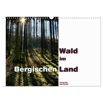 Wald im Bergischen Land 2027 (Wandkalender 2027 DIN A3 quer), CALVENDO Monatskalender