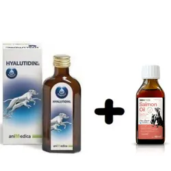 Hyalutidin für Gelenke 125ml + Lab-V Lachsöl 100ml