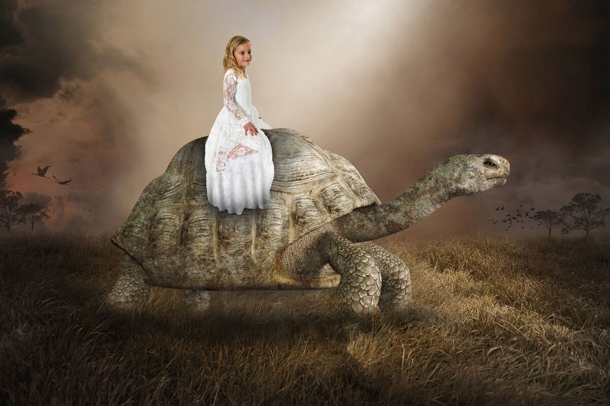 Fototapete PAPERMOON "Surreale Mädchen Schildkröte Liebe Hoffnung", bunt, B:2m L:1,49m, Vlies, Tapeten, Fototapete