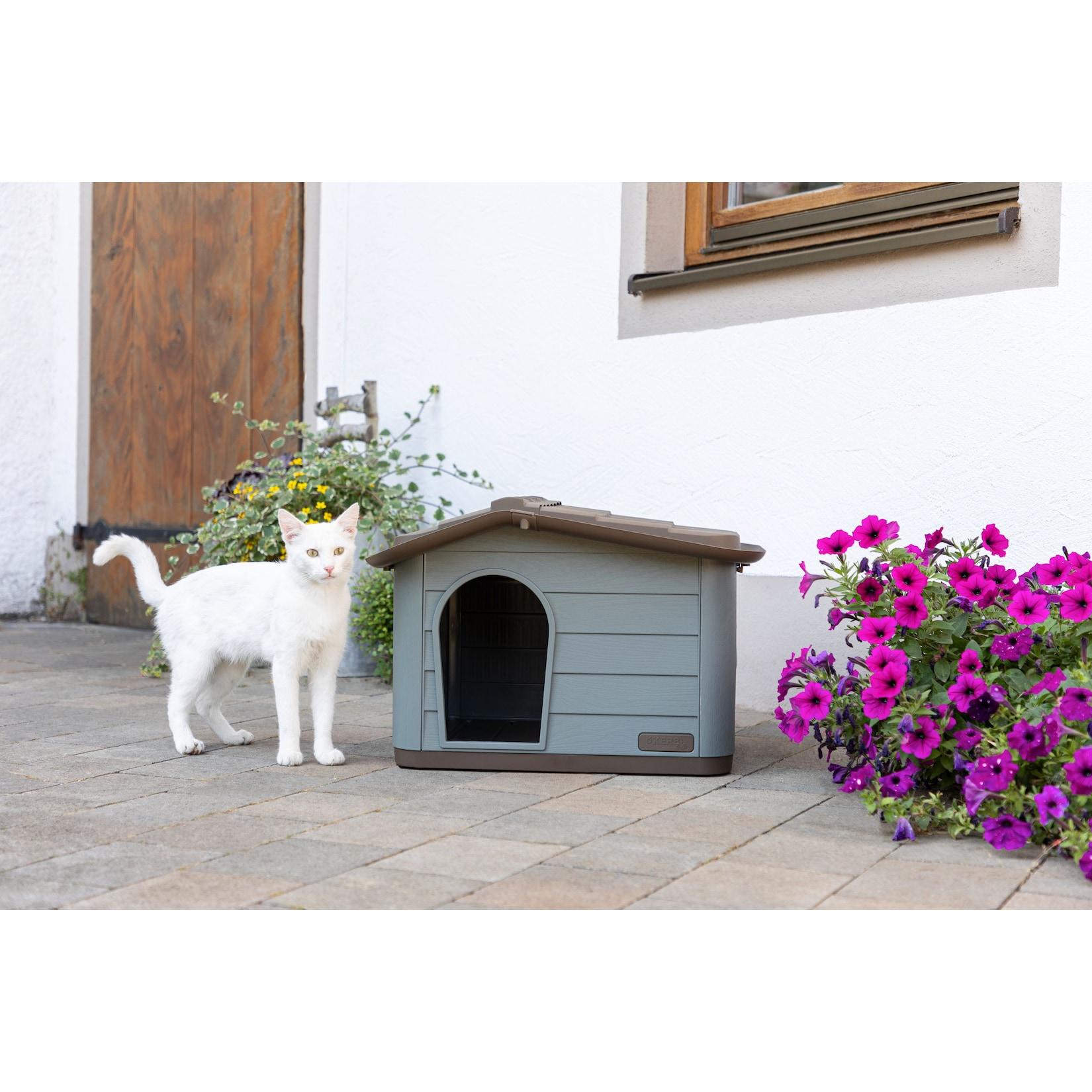 Kerbl Katzenhaus Paola Eco (auch geeignet für kleine Hunde, 60 x 51 x 41 cm)