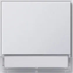 Gira Wippe Wechselsch. rws 067666