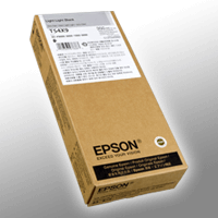 Epson Tinte C13T54X900 light light black T54X9