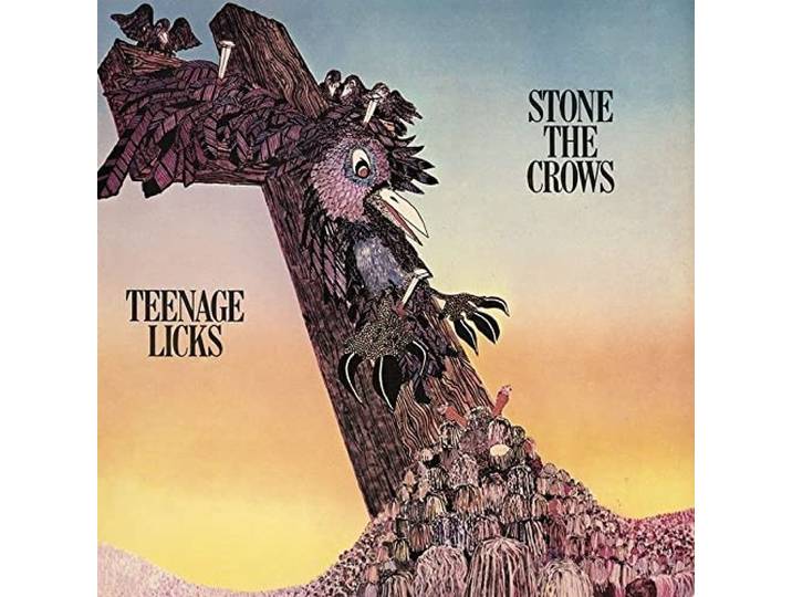 Teenage Licks