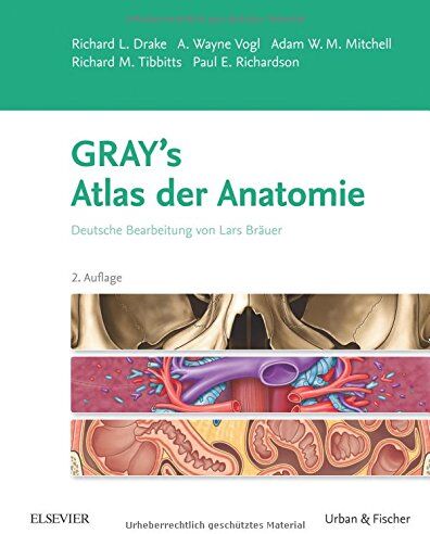 Drake, Richard L. - Gray's Atlas der Anatomie: Deutsche Bearbeitung von Lars Bräuer - Preis vom 18.10.2026 19:22:15 h