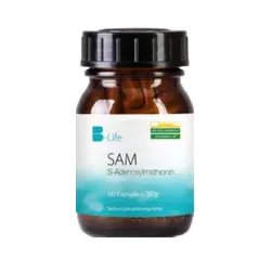 SAM S-ADENOSYLMETHIONIN Kapseln 60 St